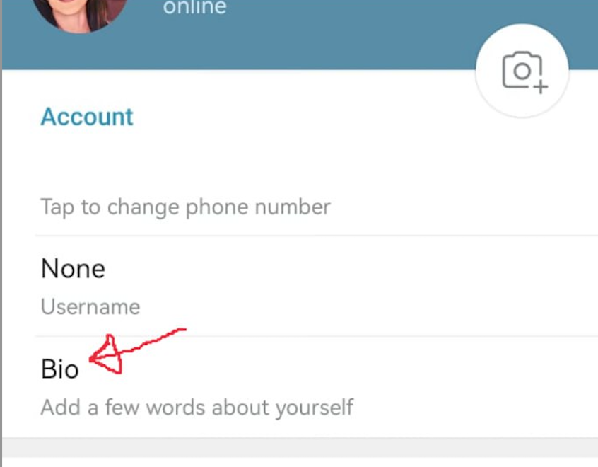 Finding your BIO on Telegram Find your BIO under your profile.