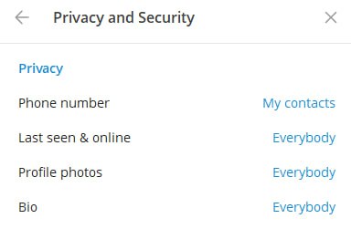 Privacy Settings on TG Make sure your privacy settings show your BIO os visible to everyone